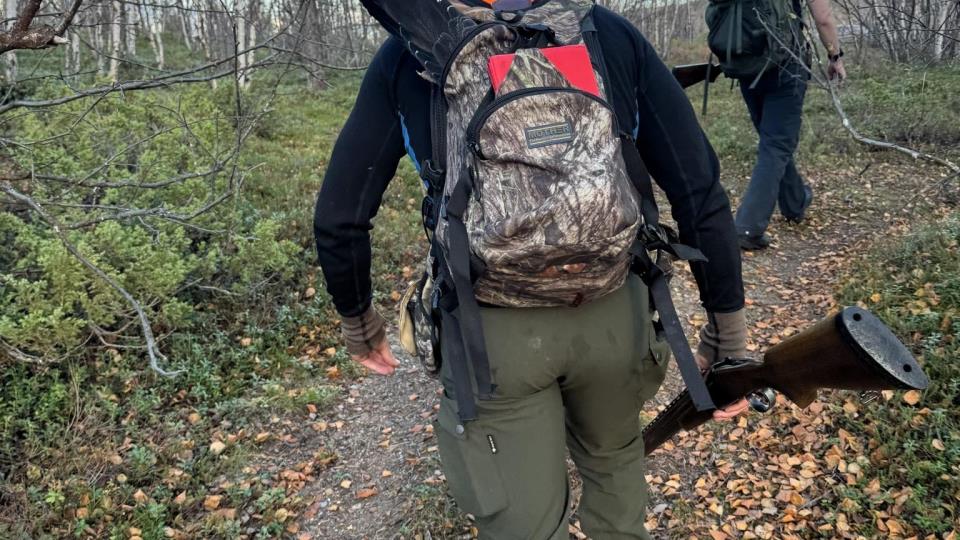 Lenke til artikkel: Styrker rekrutteringen til småviltjakt