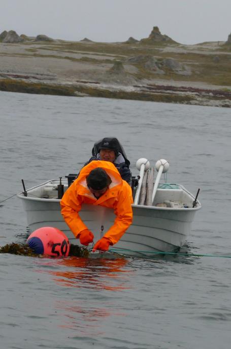 Lenke til artikkel: Nye fisketider for laksefiske i sjø
