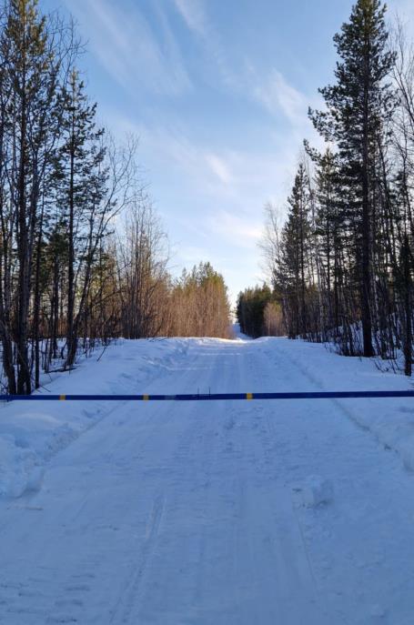 Lenke til artikkel: Våre skogsbilveier