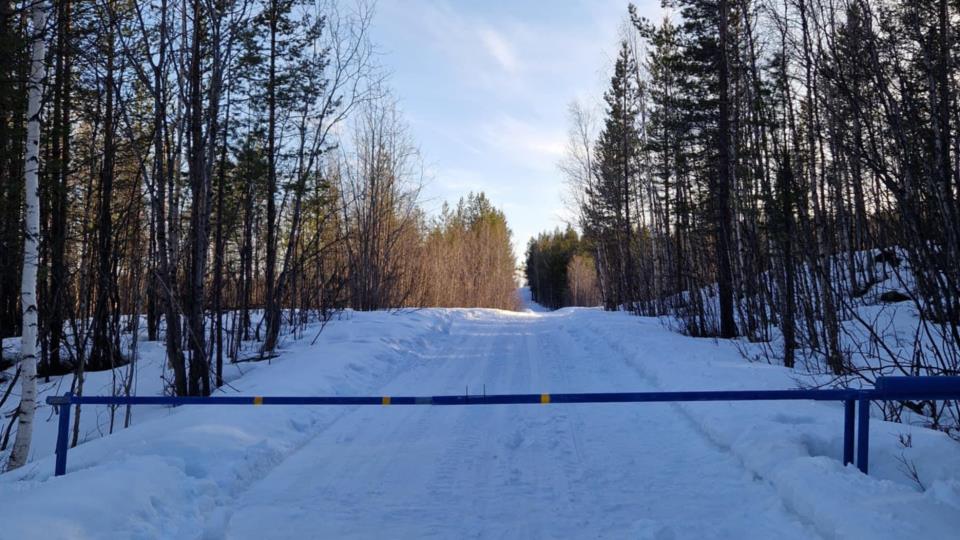 Lenke til artikkel: Våre skogsbilveier
