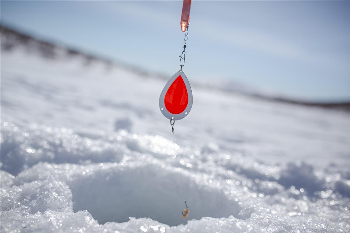 Begrensning i utlendingers fiske Finnmarkseiendommen eies av alle i