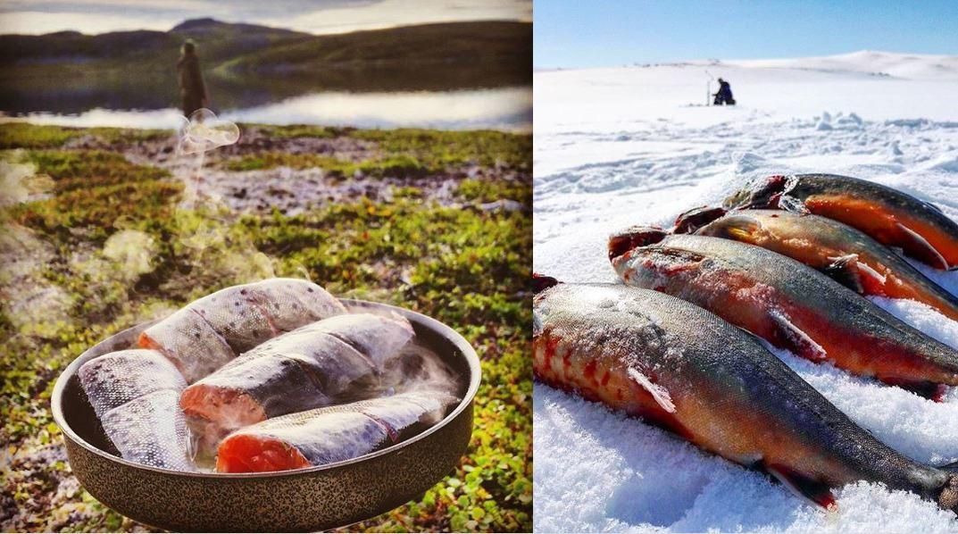 Innlandsfiske Finnmarkseiendommen