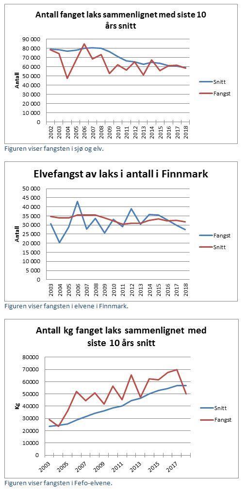 Klikk for stort bilde